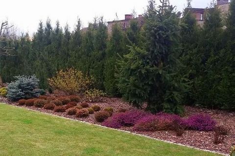 03 08 Koszenie Trawy