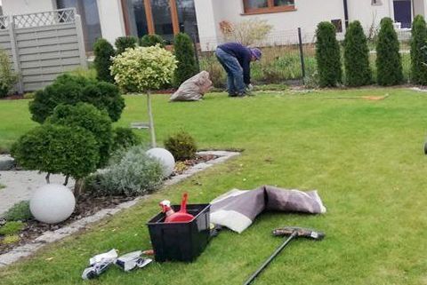 05 07 Ogrody Porzadek