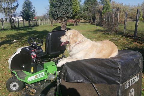 10 01 Koszenie Ekipa