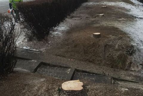 11 10 8 Usuwanie Drzew