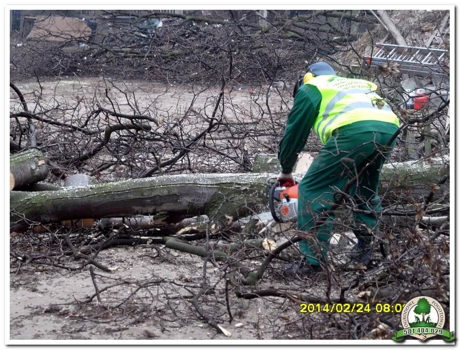 Usuwanie wiatrołomu