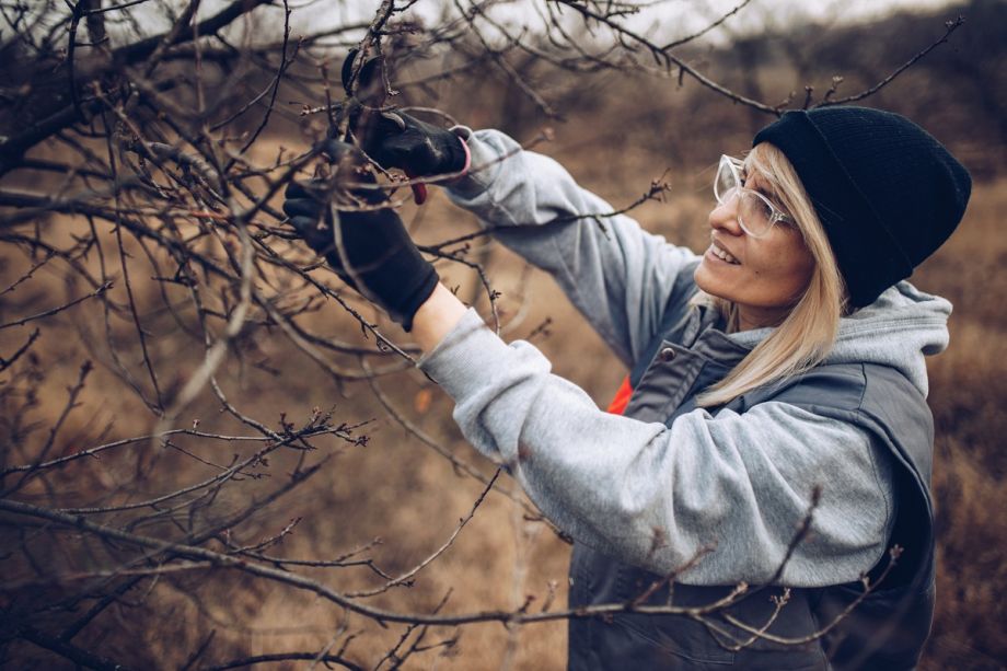 przycinanie gałązi