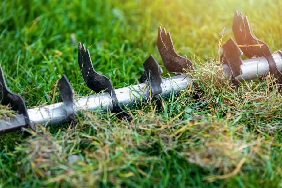 wertykulacji trawnika