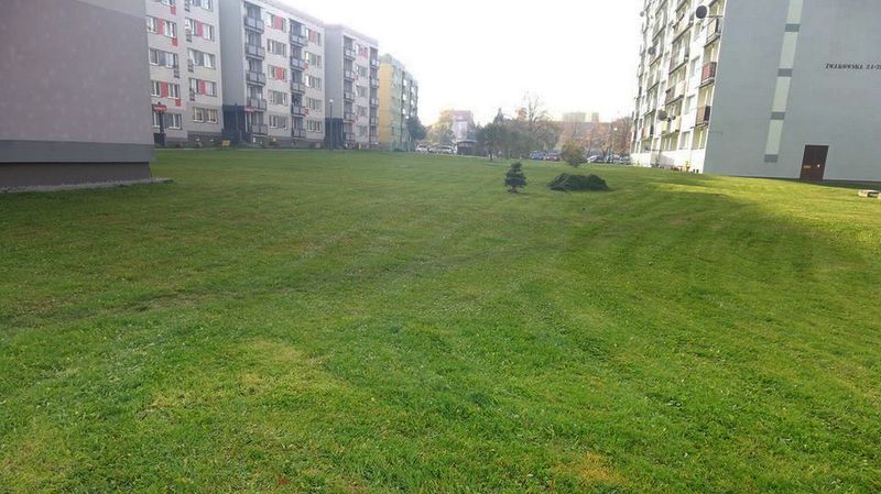 Pielęgnacja trawników 